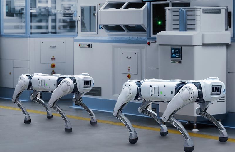 Robotic Dogs
