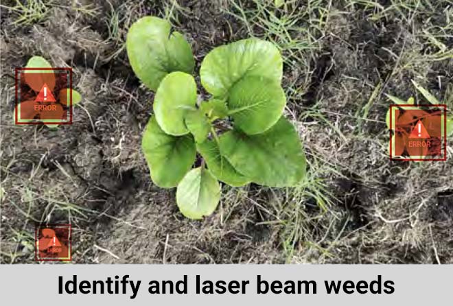 Identify and laser beam weeds