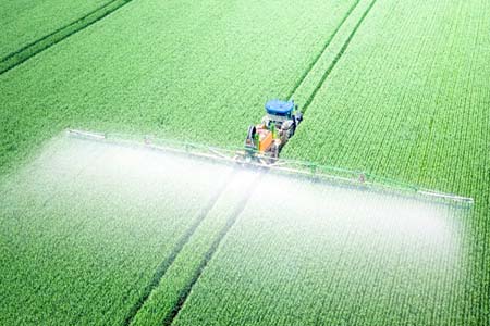 Agriculture/ Husbandry